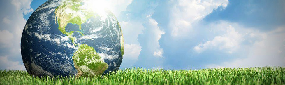 Environmental Policy